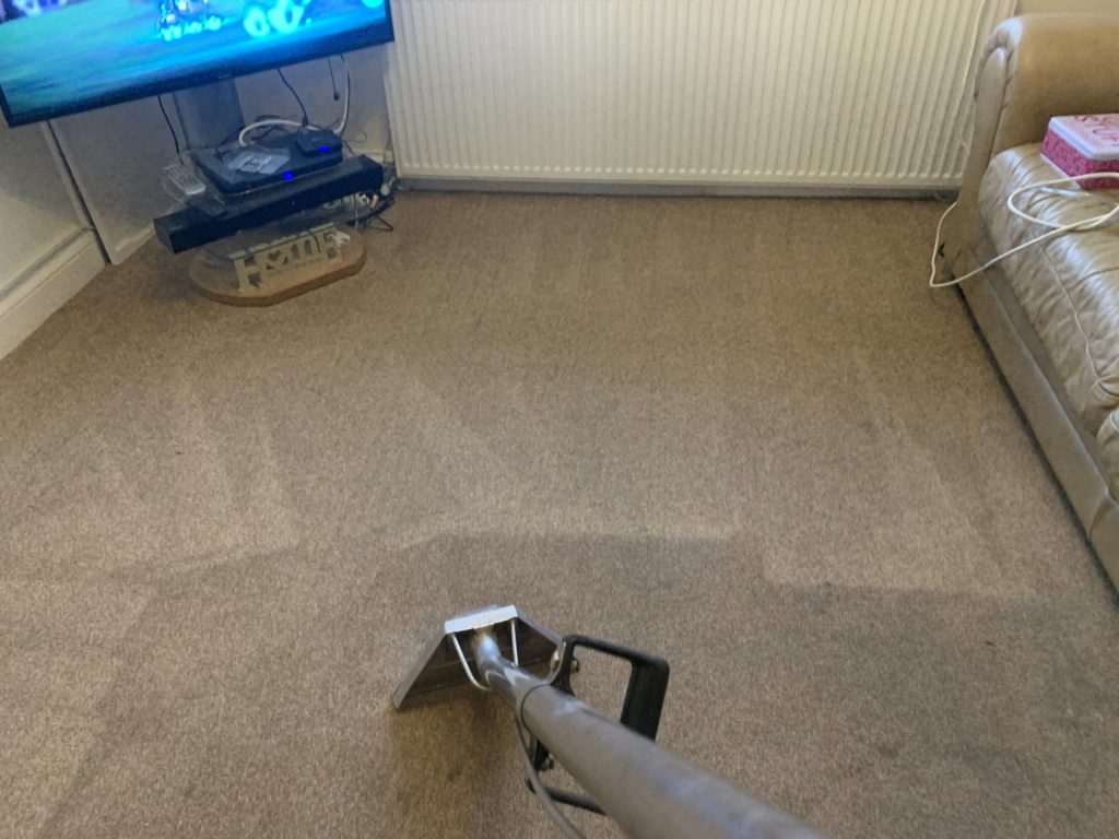  carpet steam cleaning